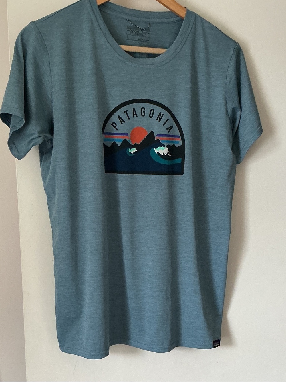 Patagonia Men's Blue teal Graphic Logo T-Shirt